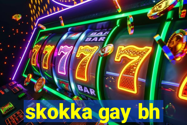 skokka gay bh